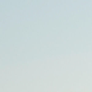 Meet your Posher, Dannielle